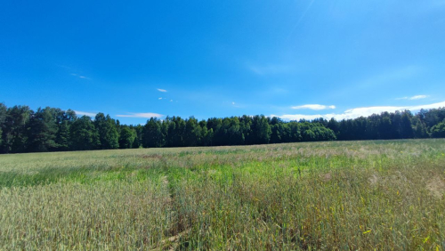 Зайцев угол