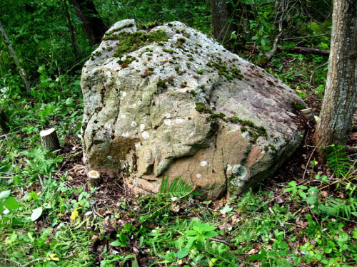 Sutkovsky Bolshoj Kamen boulder