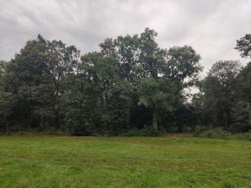 Novo-Berezhnovsky park