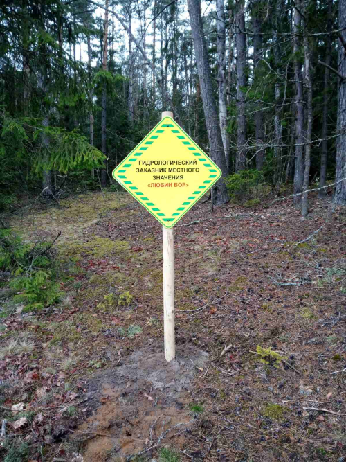 Заказник «Любин бор»