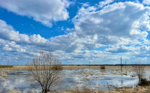 Заказник «Здитовский»