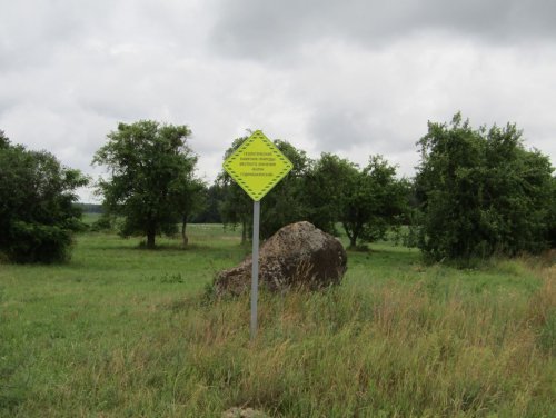 Камень гуденишкинский	