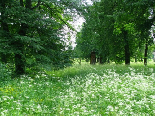 Парк «Будслав»