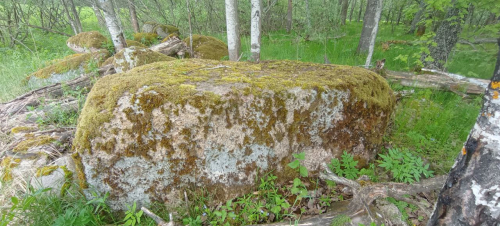 Валун Лапещинский