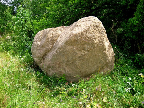 Novodvorsky boulder
