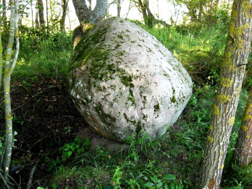 Martishkinsky boulder