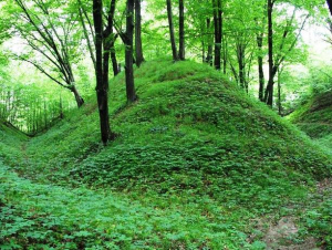 Заказник «Вороничский остров»
