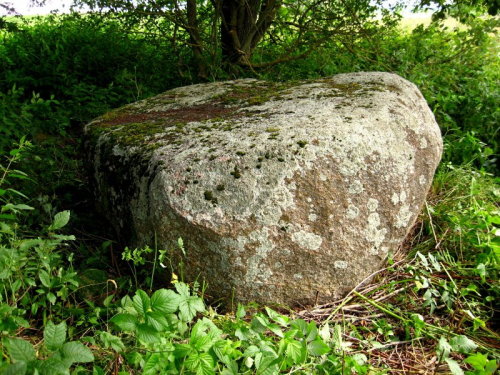 Petrovichsky boulder