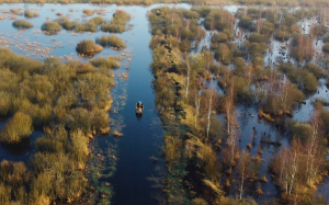 Vygonoshchanskoe Nature Reserve