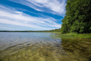 Svitjazjansky Nature Reserve