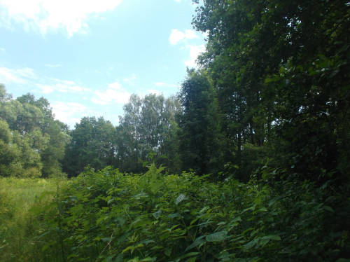 Гряда «Лукинская»