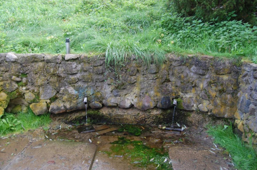 Родник «Бобр»