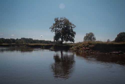 Заказник «Выдрица»