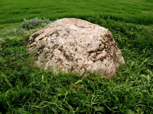 Klimovichsky pitted stone