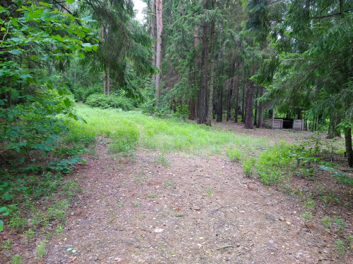 Каменский Бор