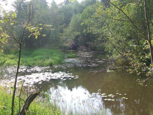 Dobrinsky Grot spring