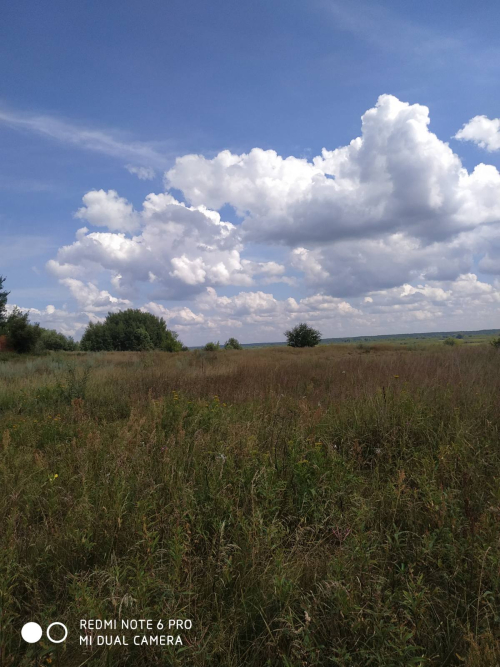 Sozh River Floodplain