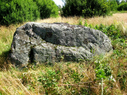 Gudovshchinsky boulder-1