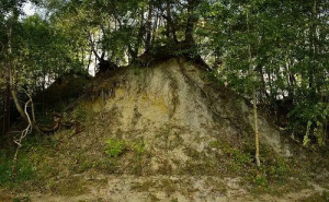 Zborovo outcrop