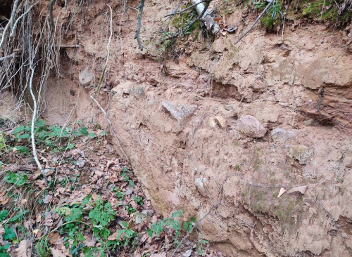 Обнажение «Кобеляки»