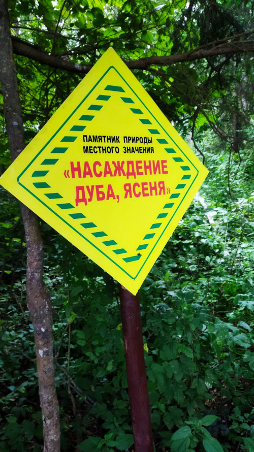 Oak, Ash Stands unique forest areas