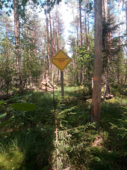 Заказник «Мохи»