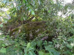 Gabrusev Kamen boulder