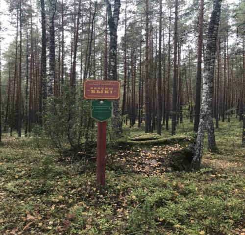 Валун «Быки»