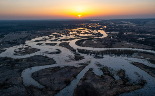 Заказник «Мотольский»