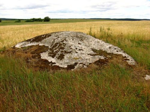 Bolshoj Kamen Smovzhitsky boulder