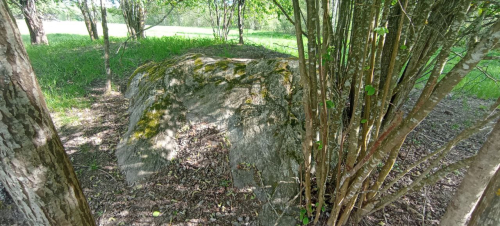 Большой камень Глазковский