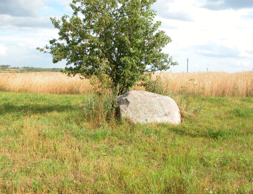 Bolshoj Kamen Bortniksky boulder