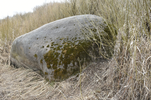 Berezovsky Bolshoj Kamen boulder