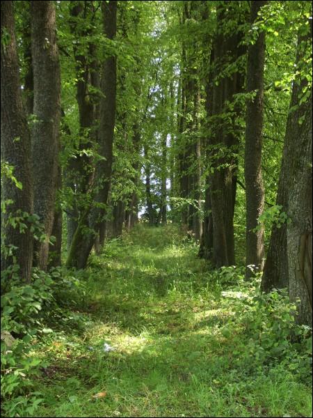 Staryj Dvorec old park estate