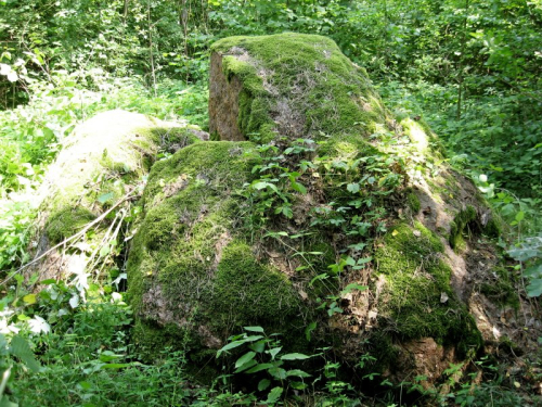 Pasutichsky stone