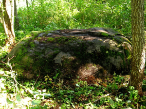 Валун «Большой камень» лещинский