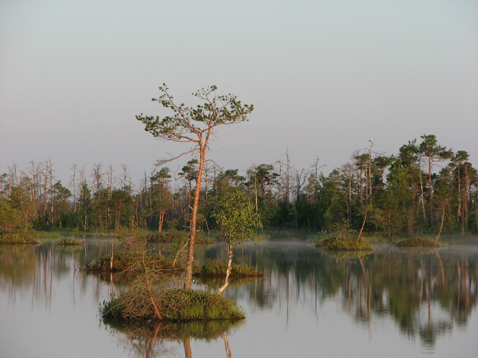 Elnja Nature Reserve