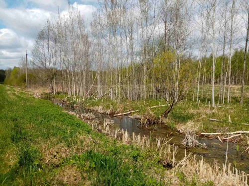 Заказник «Ореховка»