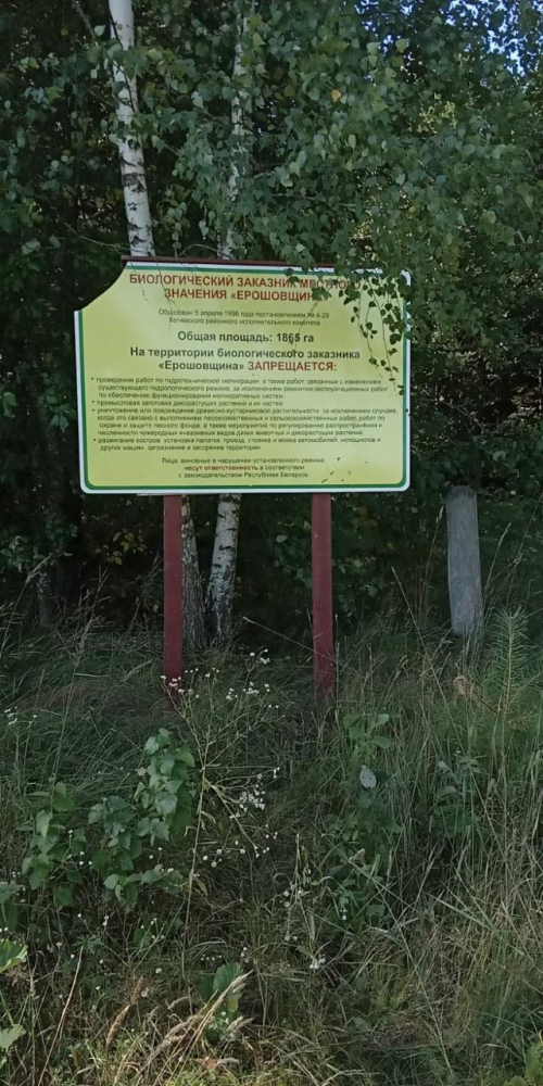 Заказник «Ерашовщина»