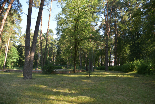 Sosnovy Park common pipe stand