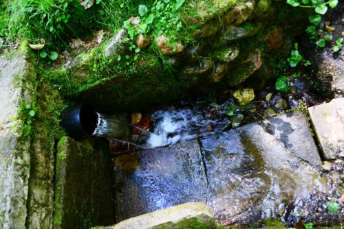 Криница «Брезгун»