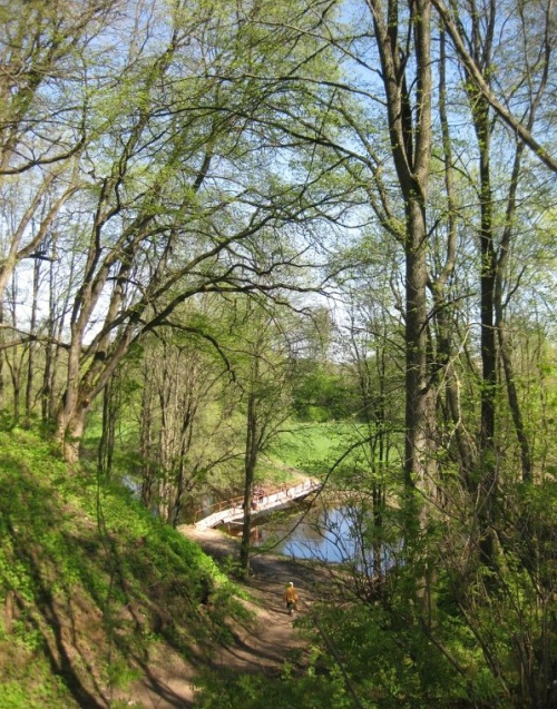Luzhesnjansky dendropark