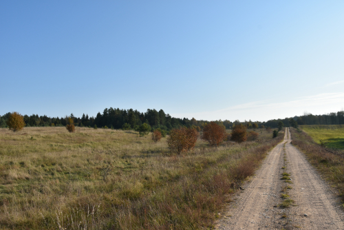 Reserve Saranchanskie ridges