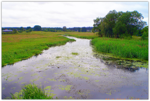 Заказник «Истоки реки Неман»