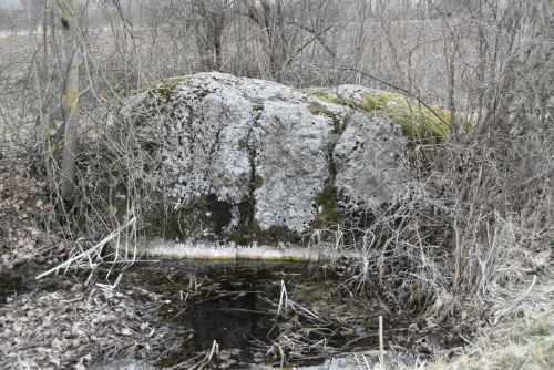 Tarelochnyj Kamen Jaznensky boulder