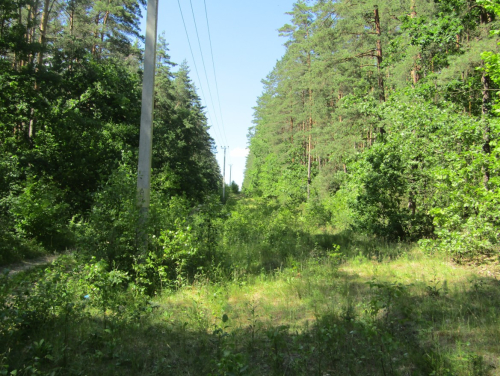 Заказник «Стефанецкие пригорки»