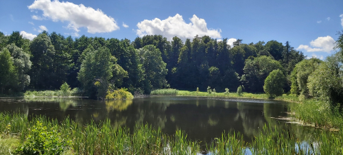 Verhne-Chernihovsky park