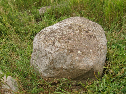 Zakolonsky pitted boulder