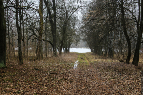 Грудиновский парк