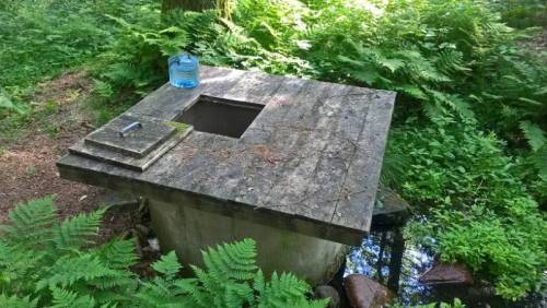 Родник Мало-Городятичского лесничества